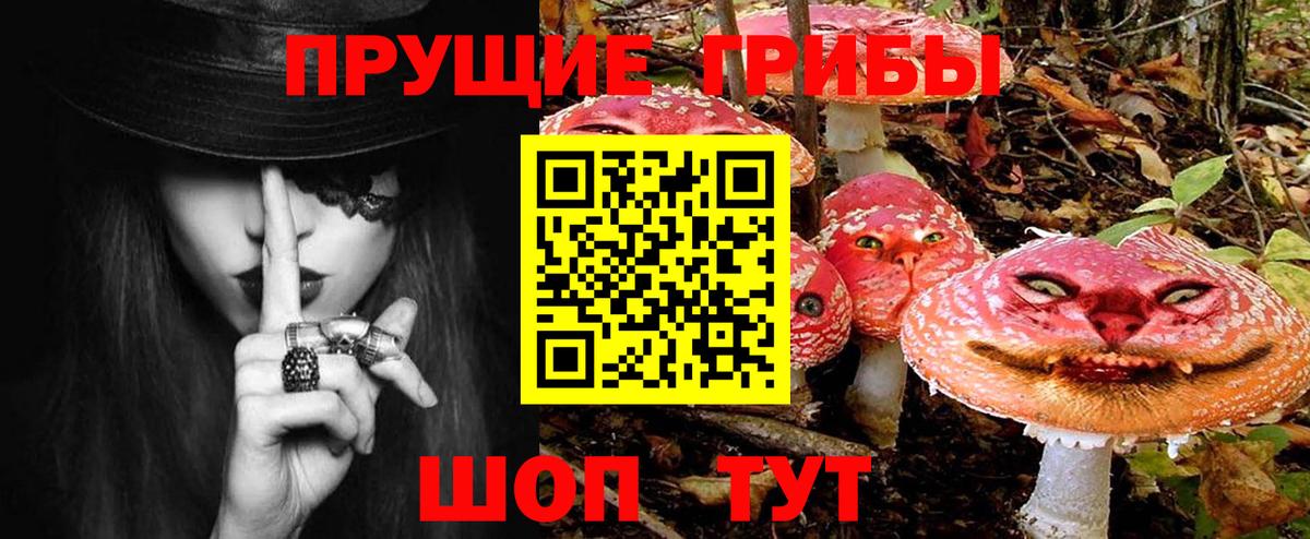Псилоцибиновые грибы MAGIC MUSHROOMS Приморско-Ахтарск